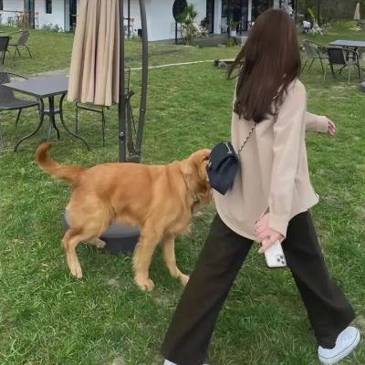 下辈子我再好好过 第二季